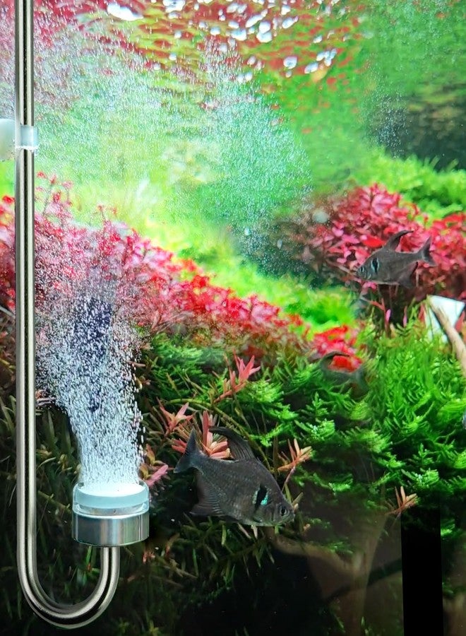 Clscea Aquarium Stainless Steel CO2 Diffuser Atomizer with Integrated Check Valve for Rimless Tanks, DC300-20 - Image 3